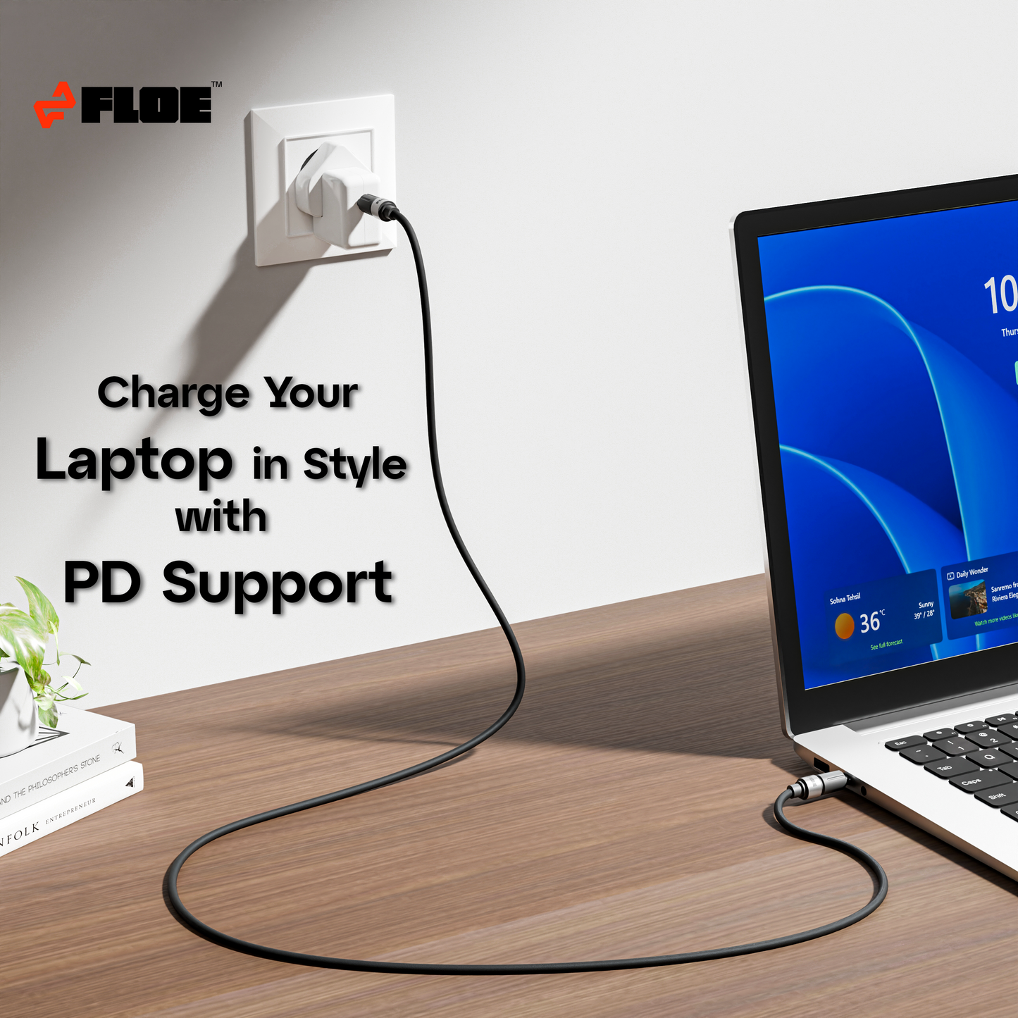 Voltros Type C - C cable